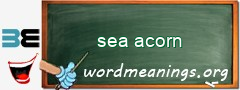 WordMeaning blackboard for sea acorn